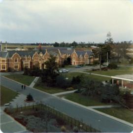 Storm Damage to Monkey Puzzle Tree Outside Ivey Hall (1 August 1975) 03