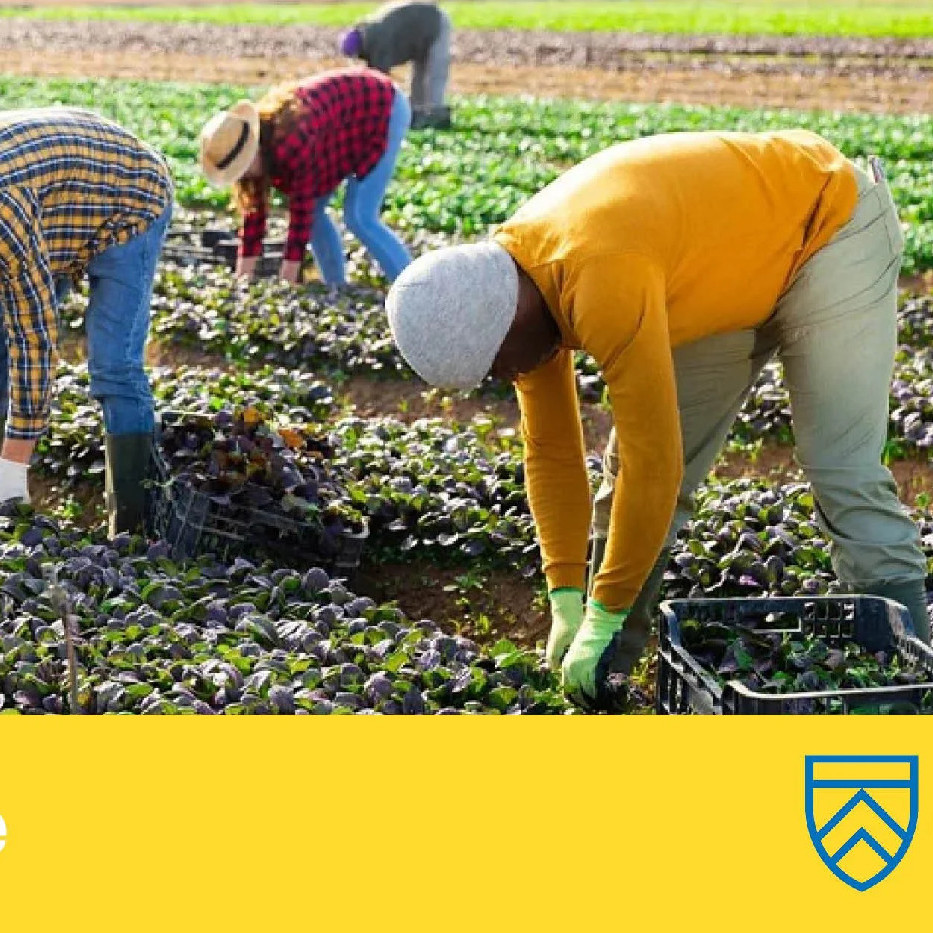 20 May 2025 
Tackling the Workforce Challenge