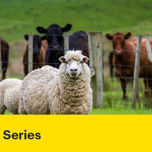 19 August 2025 
The Future of Animal Welfare – Science, Standards and Social Licence