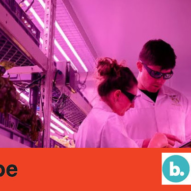 14 April 2022
Innovation Changing the Future of Agriculture