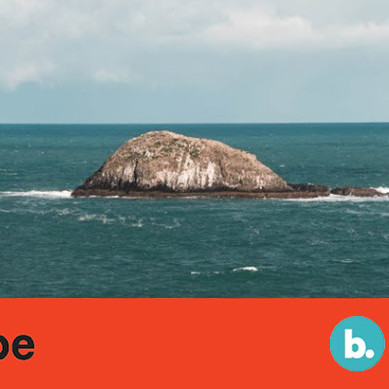 15 March 2022
Unlocking the Potential of Maori Land