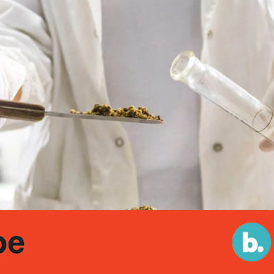 15 February 2022
Food Innovation in New Zealand