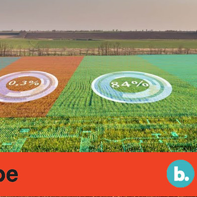 22 October 2021
How machine learning is transforming the ag sector