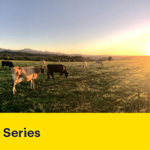 19 May 2026
Less Gas, More Grass: Rethinking Nitrogen