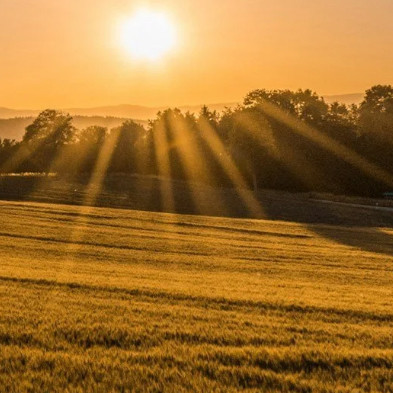 LU State of the Land Newsletter