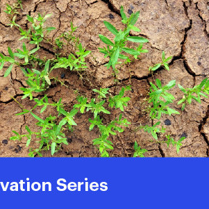 08 April 2026
Water, Soil and Biodiversity: Building Farming Systems that Maintain Ecosystem Services