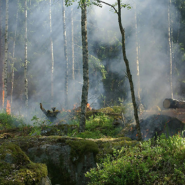 23 February 2026 Smarter fire modelling could strengthen resilience across New Zealand