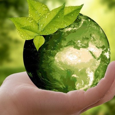 23 February 2026
Lincoln University invests in new initiatives to advance campus sustainability