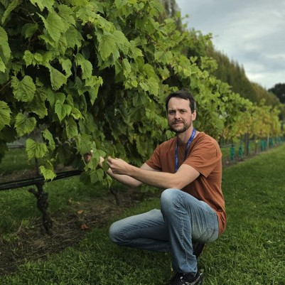 17 March 2026 Destroying disease and preserving grapes, all with liquid nitrogen