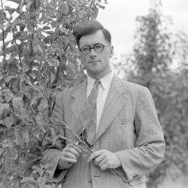 John H. Glazebrook, lecturer in Horticulture c1960 (Blackmore Neg 5208)