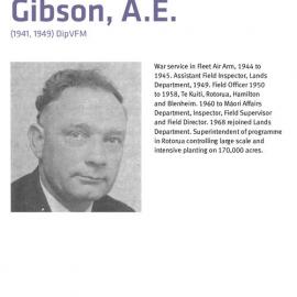 1975 A. E. Gibson
