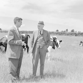 Lord Middleton discusses dairy stock rearing with M Hollard, 1961(Blackmore Neg 5921)
