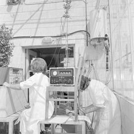 Plant nutrition studies using radioscopes (Blackmore Neg 5933)