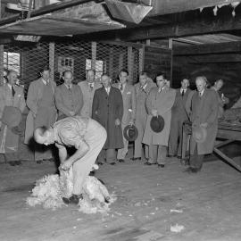 A sheep shearing demonstration in the 1960s (Blackmore Neg 5972)