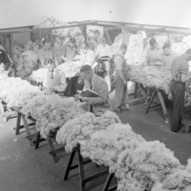 Wool grading c1960 (Blackmore Neg 5977)