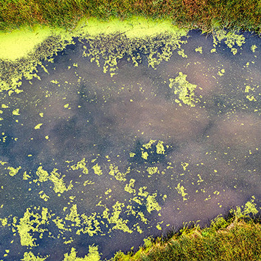 02 April 2026 On the Conversation: Toxic blooms and invasive clams are forcing a rethink on the Waikato River