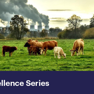28 May 2026
Mitigating Greenhouse Gas Emissions and Water Contamination from Grazed Pastures
