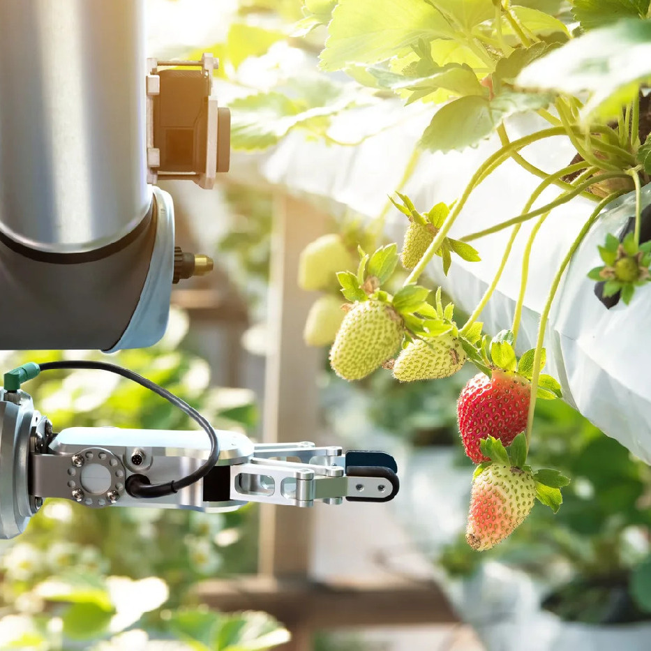 Lincoln University Centers of Excellence in
Transformative Agribusiness
