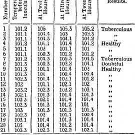 1897 The Tuberculin Test. Cattle at Lincoln College