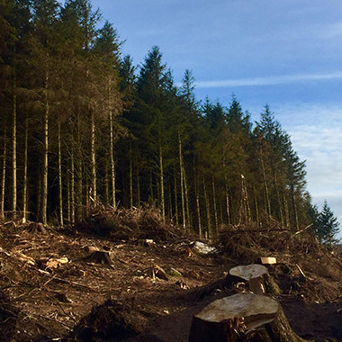 08 May 2026 
Cyclone Gabrielle exposed the risks of forestry slash. New research suggests little has changed