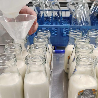 27 July 2026
From pasture to palate: Exploring the sensory qualities of milk
