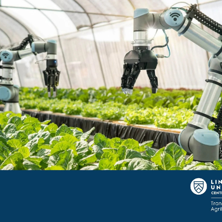 26 February 2025
The Role of Cooperatives in Agri-food Digital Innovation Ecosystems