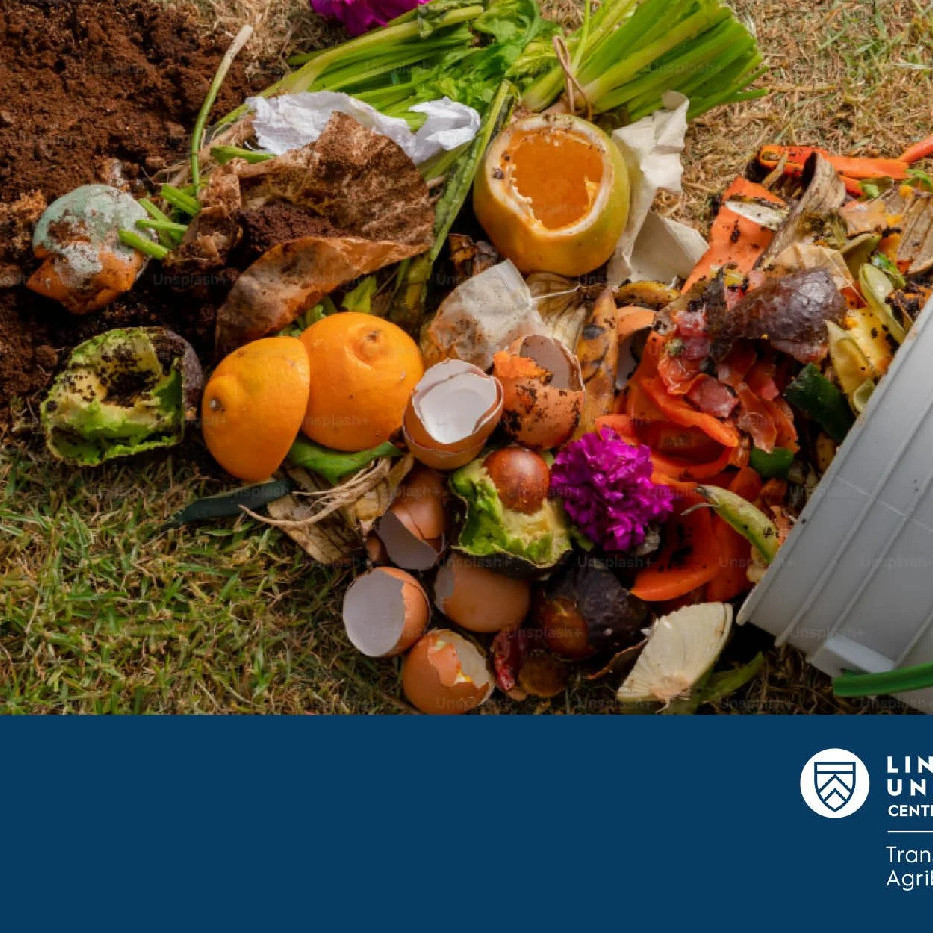 02 April 2025
Fighting food waste together: The involvement of supporting stakeholders in multi-stakeholder partnerships