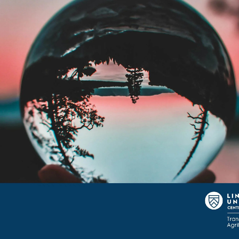 28 April 2025
Risk Perception Shapes Attitudes and Behaviour