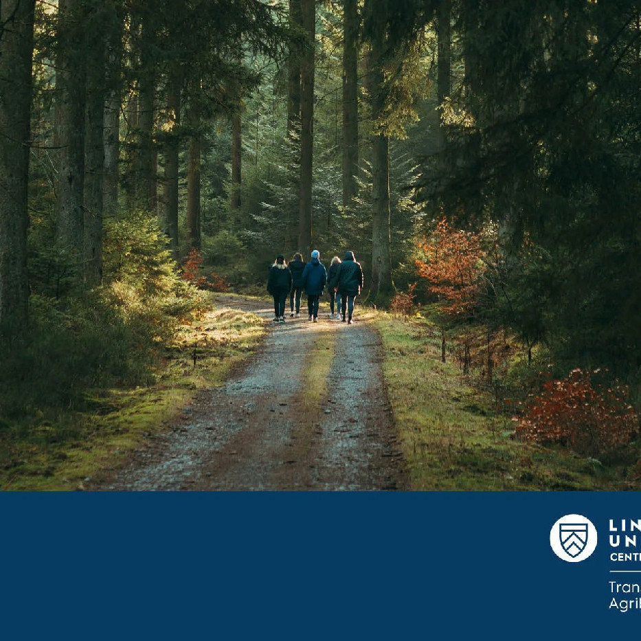 08 May 2025
Environmental Behaviour Through The Lens Of Value-Belief-Norm Theory
