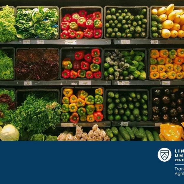 29 June 2026
National Food Security: Mitigating or Amplifying the Well-being Effects of Individual Food Insecurity?