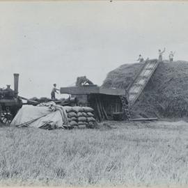 Lincoln Farm - Lincoln College Harvest, c. 1918