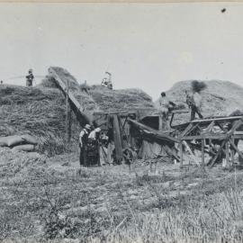 Lincoln Farm - Lincoln College Harvest, c. 1918