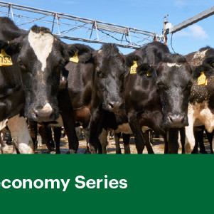 16 September 2026
From Pathogens to Preparedness: The Science Protecting New Zealand's Livestock