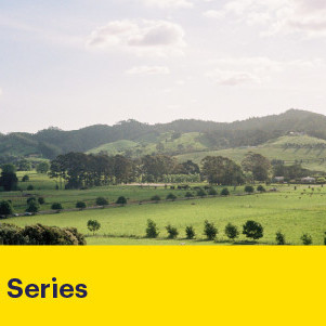 13 October 2026
Long-Term Pasture Persistence: Lessons for Resilient Farming