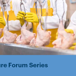 26 August 2026
Protecting Trust: The Future of New Zealand’s Food Advantage
