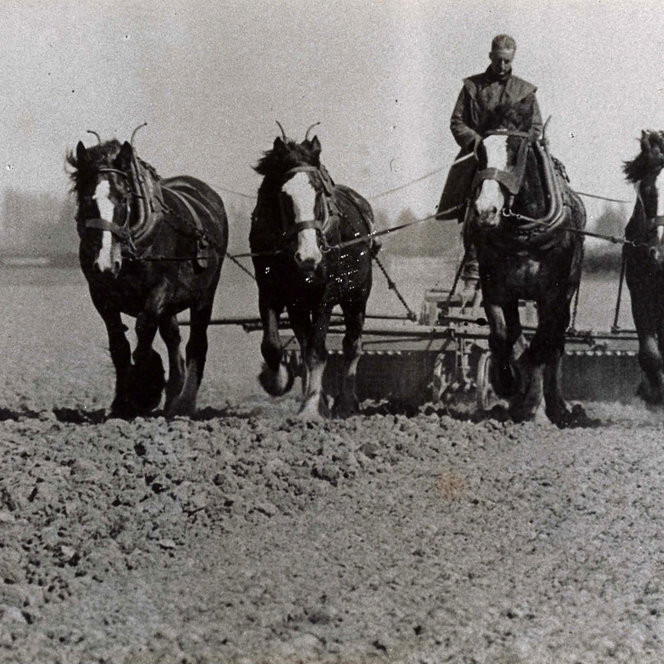 Lincoln Farms