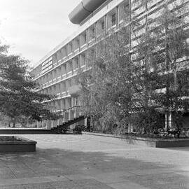 1981 Hilgendorf Building and Courtyard 01