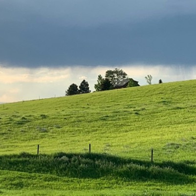 15 September 2026
On The Conversation: Imported phosphate is expensive – could this homegrown alternative be a solution?