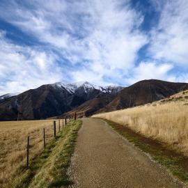 Path to the Mountains
