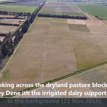 Lucerne root exploration rates to access soil water for growth