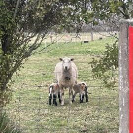 Spring, a beautiful time of year to take notice 