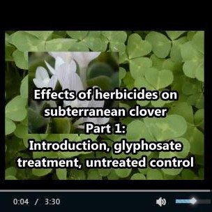 Herbicides on subclover 1