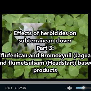 Herbicides on subclover 3