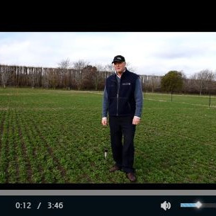 Soil moisture status in winter part 1