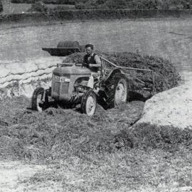 1951 Buckrake discharging in silage trench