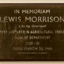 Lewis Morrison