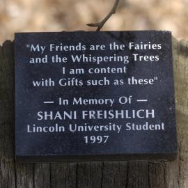 Shani Freishlich tree & plaque
