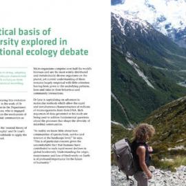 Theoretical basis of biodiversity explored in international ecology debate