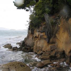Ulva Island 3