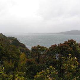 Ulva Island 9